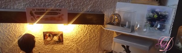 Animalerie:
DSCF0818