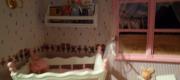 Voir l'album : Vitrines miniatures
 14 albums
