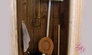 Les toilettes:
SD539297