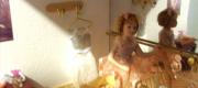 Voir l'album : Vitrines miniatures
 14 albums
