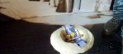 Voir l'album : Vitrines miniatures
 14 albums