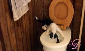 Les toilettes:
SD539306