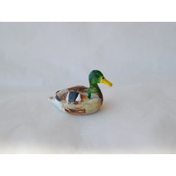 Canard colvert