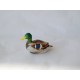 Canard colvert