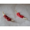Tresse de piments rouges clairs