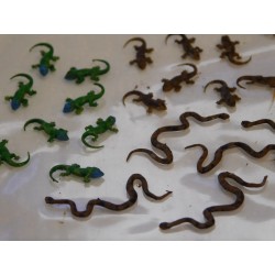 Serpent 2,8cm de long (vendu à l'unité)