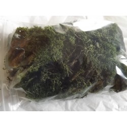 Sachet lichen 500Gr, vert foncé