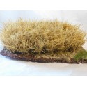 Champ de blé, 15cm de long environ
