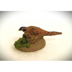 Faisan et morceau de bois