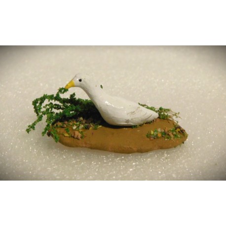 Jeune oie dans l'herbe