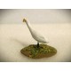 Aigrette