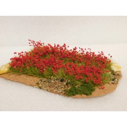 Petit champ d'oeillets rouges sur "terre" 10cm de long