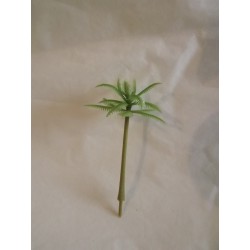 Palmier vert clair, tronc fin 8cm